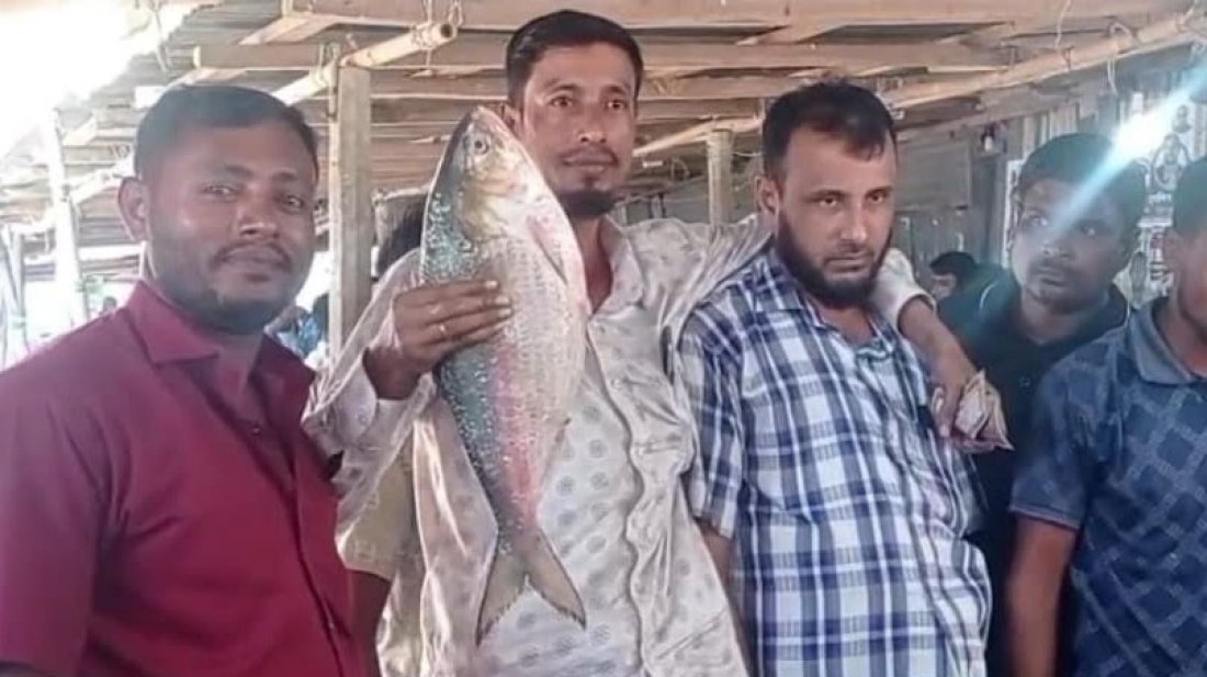 সেই ইলিশ বিক্রি হলো ৯২০০ টাকায়!