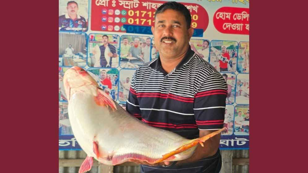পদ্মায় মিলল ১৬ কেজির পাঙাশ