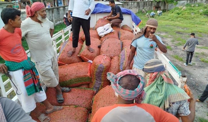 হিলি বন্দরে কাঁচা মরিচ আমদানিতে ১৯ কোটি টাকা রাজস্ব আদায়